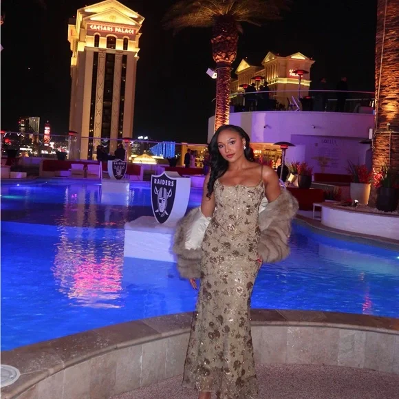 NAIMA
Olive Bronze Hand Beaded Embellished Corset Maxi Dress - Limited Edition - Picture 5 of 5